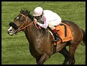 Red Masque Posts Forerunner Upset Red Masque Posts Forerunner Upset