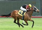 Scott Stevens Claims 4,000th Thoroughbred Win Scott Stevens Claims 4,000th Thoroughbred Win