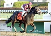 Kentucky Derby Trail: New Shooters Emerge: Zito Still Loading Up Kentucky Derby Trail: New Shooters Emerge: Zito Still Loading Up