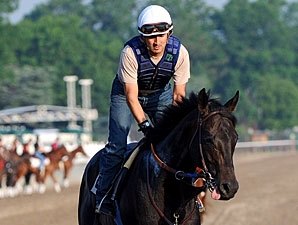 Dave in Dixie a Wild Card in Belmont Dave in Dixie a Wild Card in Belmont
