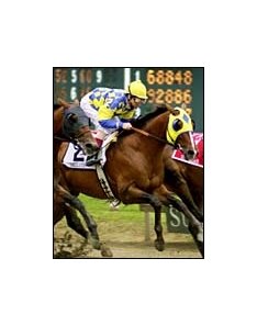 Jerry Bailey rode Include to victory in the Massachusetts Handicap.