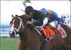Competitive Field On Tap for Stars and Stripes Competitive Field On Tap for Stars and Stripes