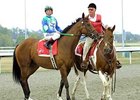 Perfect Drift during his retirement ceremony at Turfway Park in Sept., 2008.