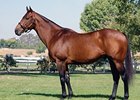 First Winner for French Champ Suances First Winner for French Champ Suances