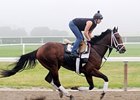 Interactif will have to overcome his post position to win the Belmont.<br><a target="blank" href="http://www.bloodhorse.com/horse-racing/photo-store?ref=http%3A%2F%2Fpictopia.com%2Fperl%2Fgal%3Fprovider_id%3D368%26ptp_photo_id%3D9052187%26ref%3Dstory">Order This Photo</a>