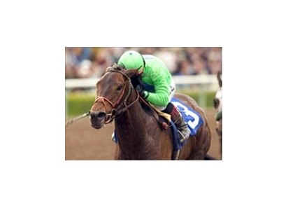 A.P. Warrior takes first race for new trainer with convincing San Felipe win.