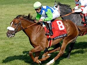 Dual Grade I Winner Showing Up Retired Dual Grade I Winner Showing Up Retired