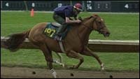 Keeneland April Sale Sets Records For Average And Median Keeneland April Sale Sets Records For Average And Median