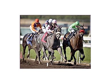 Imperialism, shown winning the San Vicente, exercised over the main track at Churchill Downs Tuesday.