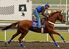 You have to bet Presious Passion to win.