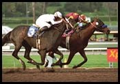 Santa Anita Race Report: Funtime Filly Santa Anita Race Report: Funtime Filly