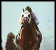 Jockey Mike Smith guides Snow Ridge to victory.