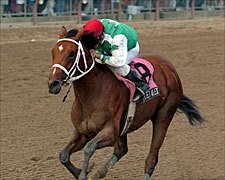 Afleet Alex Hopes to Extend Streak in Hopeful Afleet Alex Hopes to Extend Streak in Hopeful