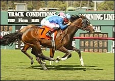 Magic Mission Collects First Graded Win in Royal Heroine Magic Mission Collects First Graded Win in Royal Heroine