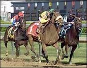 Viva Brazil! Longshot Farda Amiga Stuns Oaks Field Viva Brazil! Longshot Farda Amiga Stuns Oaks Field