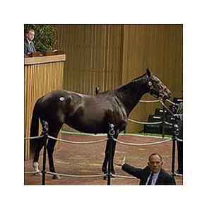 Win's Fair Lady, topped the Tuesday session at Keeneland.