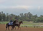 <br><a target="blank" href="http://photos.bloodhorse.com/BreedersCup/2012-Breeders-Cup/Works/26130247_gxH6nS#!i=2190851502&k=42CCXkx">Order This Photo</a>