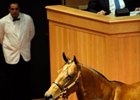 Holiday Runner, the dam of grade I winner Seventh Street (by Street Cry), sold for auction's top price of $2,150,000.