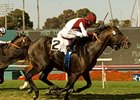 Victor's Cry nipped favorite Karelian to post a stunner in the Shoemaker Mile Stakes. <br><a target="blank" href="http://www.bloodhorse.com/horse-racing/photo-store?ref=http%3A%2F%2Fpictopia.com%2Fperl%2Fgal%3Fprovider_id%3D368%26ptp_photo_id%3D9035395%26ref%3Dstory">Order This Photo</a>