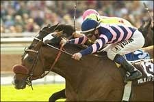 Silent Name Chases Cesario in Shoemaker Silent Name Chases Cesario in Shoemaker