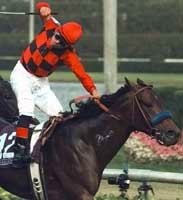 No BC Mile Defense For Silic No BC Mile Defense For Silic