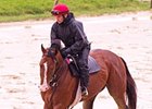Too Wet for Jog for Derby Winner Too Wet for Jog for Derby Winner
