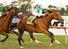 Champs Elysees powers home in the Hollywood Turf Cup.