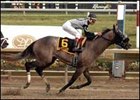 <b>Xchanger carries Edgar Prado to sentimental win in Delaware Park's Barbaro Stakes.</b><br><a target="blank" href="http://www.bloodhorse.com/horse-racing/photo-store?ref=http%3A%2F%2Fpictopia.com%2Fperl%2Fgal%3Fprovider_id%3D368%26ptp_photo_id%3D1730964%26ref%3Dstory">Order This Photo</a>