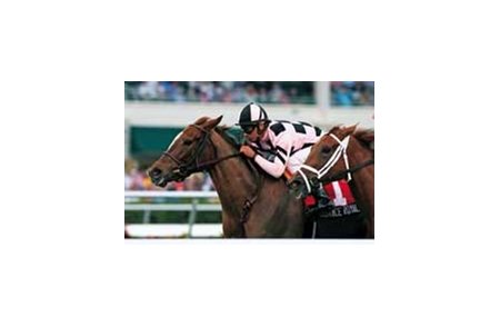 Naissance Royale is one of two entries from the barn of Christophe Clement in the Las Palmas Handicap.