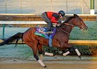 Switch to be Entered in Filly & Mare Sprint Switch to be Entered in Filly & Mare Sprint