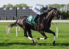7-year old Cosmonaut takes on 8 in the Fourstardave.<br><a target="blank" href="http://www.bloodhorse.com/horse-racing/photo-store?ref=http%3A%2F%2Fpictopia.com%2Fperl%2Fgal%3Fprovider_id%3D368%26ptp_photo_id%3D8063844%26ref%3Dstory">Order This Photo</a>