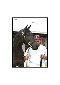 Unbridled's Song colt, sale topper at Fasig-Tipton July.