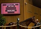 Hip #645, colt; Big Brown - Cold Awakening, by Dehere, brought $825,000 on Sept 12.