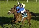 Undefeated Grade I Winner Vacare to Skip Breeders' Cup Undefeated Grade I Winner Vacare to Skip Breeders' Cup