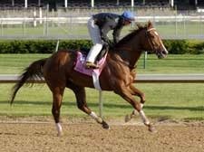 Mott's High Again Turns in Strong Oaks Breeze Mott's High Again Turns in Strong Oaks Breeze