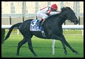 Inaugural Great State Challenge Offers $1.8 Million in Purses Inaugural Great State Challenge Offers $1.8 Million in Purses