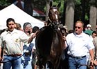 Rachel Alexandra schools at Saratoga on August 26 in preparation for the Personal Ensign.<br><a target="blank" href="http://www.bloodhorse.com/horse-racing/photo-store?ref=http%3A%2F%2Fpictopia.com%2Fperl%2Fgal%3Fprovider_id%3D368%26ptp_photo_id%3D9159883%26ref%3Dstory">Order This Photo</a>