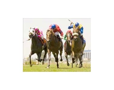 Out Of Control (center) battles with The Tin Man (right) and Fast And Furious (left) to win the American Invitational.<br><a target="blank" href="http://www.bloodhorse.com/horse-racing/photo-store?ref=http%3A%2F%2Fpictopia.com%2Fperl%2Fgal%3Fprovider_id%3D368%26ptp_photo_id%3D1571861%26ref%3Dstory">Order This Photo</a>