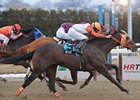 Ah Day is the only graded stakes winner in the Fall Highweight Handicap.