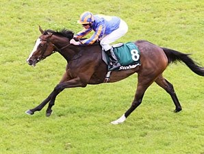 Misty For Me Clear Winner in Pretty Polly Misty For Me Clear Winner in Pretty Polly
