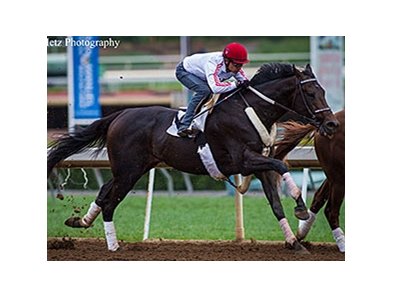 Bolo worked five furlongs in company in :59 3/5 on April 24.