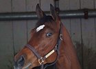 Havre de Grace