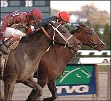 Daydreaming By Nose in Top Flight Daydreaming By Nose in Top Flight