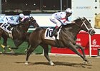 Dubai Golden Shaheen winner Benny the Bull is the one to beat in the True North.<br><a target="blank" href="http://www.bloodhorse.com/horse-racing/photo-store?ref=http%3A%2F%2Fpictopia.com%2Fperl%2Fgal%3Fprovider_id%3D368%26ptp_photo_id%3D4071695%26ref%3Dstory">Order This Photo</a>