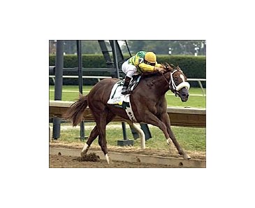 Consolidator gets second win in Lane's End Futurity.