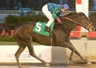 Canadian-Based Trainer Passero Dies at Age 77 Canadian-Based Trainer Passero Dies at Age 77