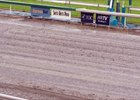 Drainage problems have closed Santa Anita throughout January.