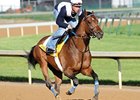 Noble's Promise<br><a target="blank" href="http://www.bloodhorse.com/horse-racing/photo-store?ref=http%3A%2F%2Fpictopia.com%2Fperl%2Fgal%3Fprovider_id%3D368%26ptp_photo_id%3D8934316%26ref%3Dstory">Order This Photo</a>