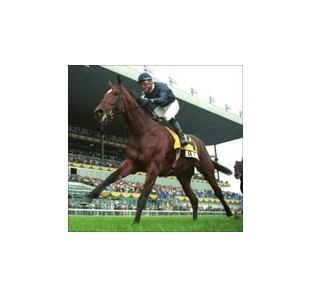Ballingarry, winning the Canadian International.