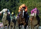 Lost in the Fog, winning the King's Bishop, is favored in the Breeders' Cup Sprint.